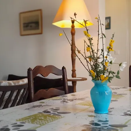 Maison Spacieuse A Capbreton, Proche Port Et Plages, Jusqu'a 6 Personnes - Fr-1-239-1122 * Capbreton
