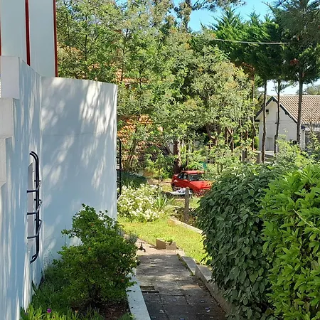 Maison Spacieuse A Capbreton, Proche Port Et Plages, Jusqu'a 6 Personnes - Fr-1-239-1122 펜션 카브레톤