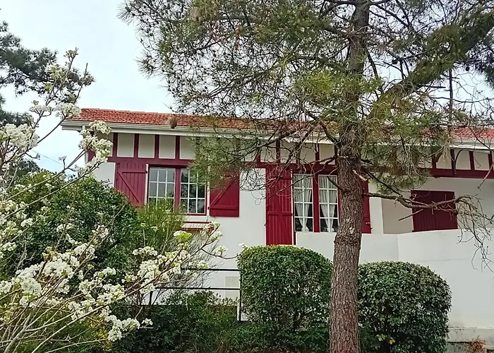 Maison Spacieuse A Capbreton, Proche Port Et Plages, Jusqu'a 6 Personnes - Fr-1-239-1122 *